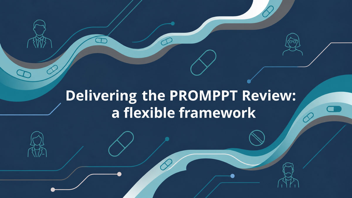 3. Delivering the PROMPPT Review: a Flexible Framework